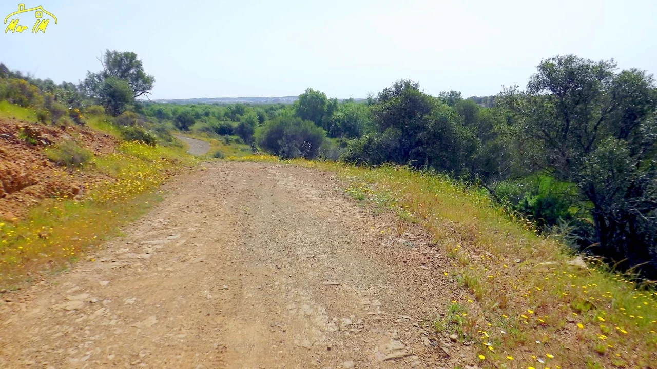 Terreno Agricola ou Rústico para Venda em Azinhal Foto 16
