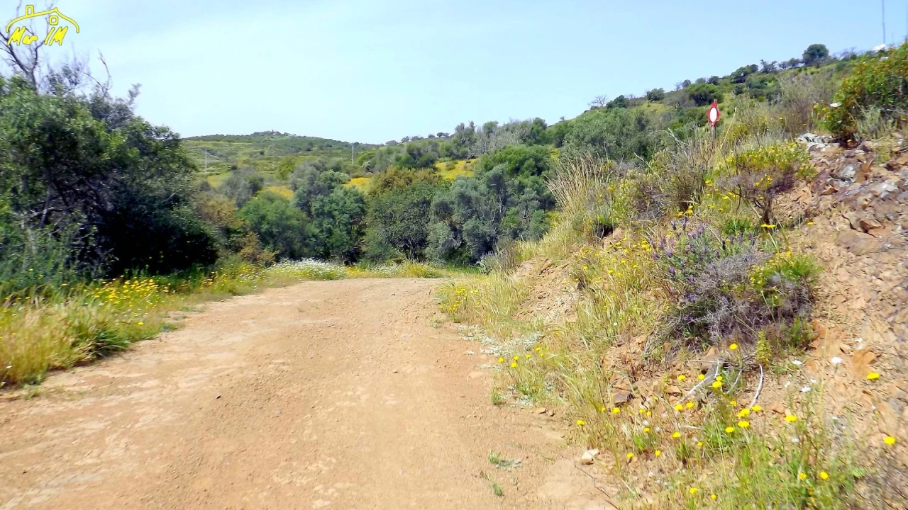 Terreno Agricola ou Rústico para Venda em Azinhal Foto 6