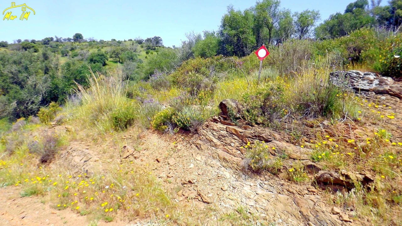 Terreno Agricola ou Rústico para Venda em Azinhal Foto 7