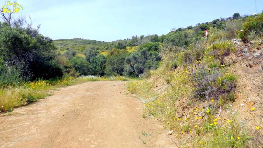 Terreno Agricola ou Rústico para Venda em Azinhal Foto 6