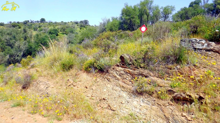 Terreno Agricola ou Rústico para Venda em Azinhal Foto 7