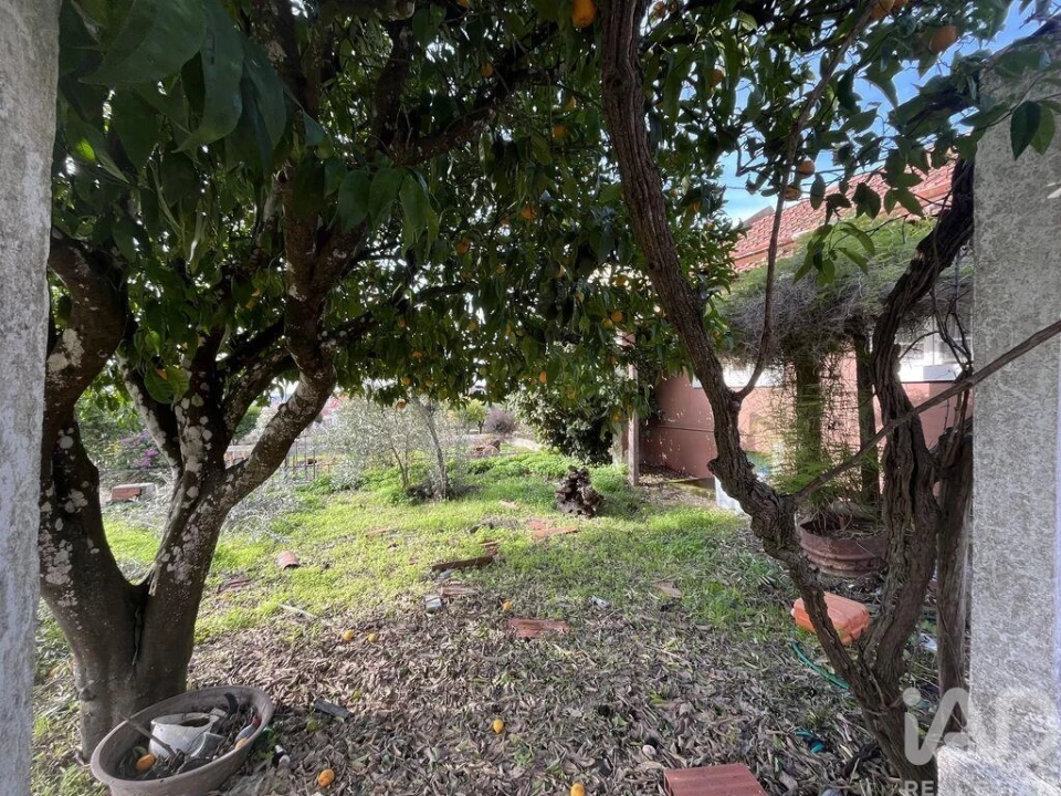 Terreno para Venda em Cardigos Foto 25