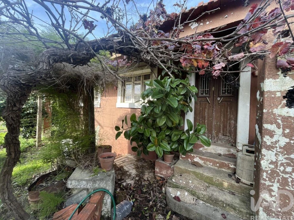 Terreno para Venda em Cardigos Foto 23