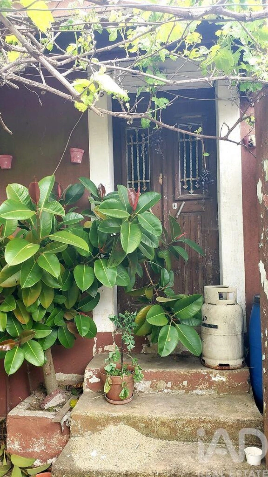 Terreno para Venda em Cardigos Foto 10