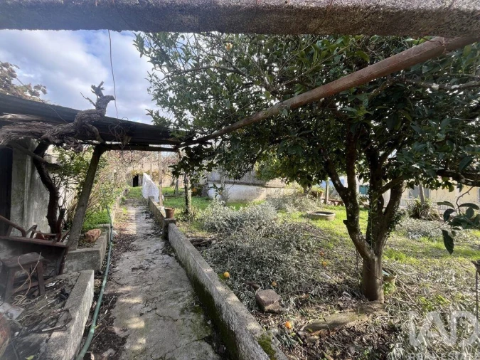 Terreno para Venda em Cardigos Foto 25