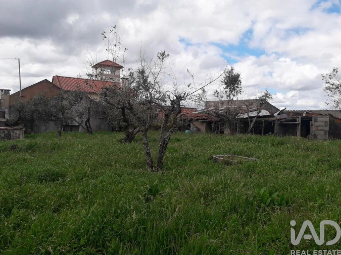 Terreno para Venda em Cardigos Foto 19