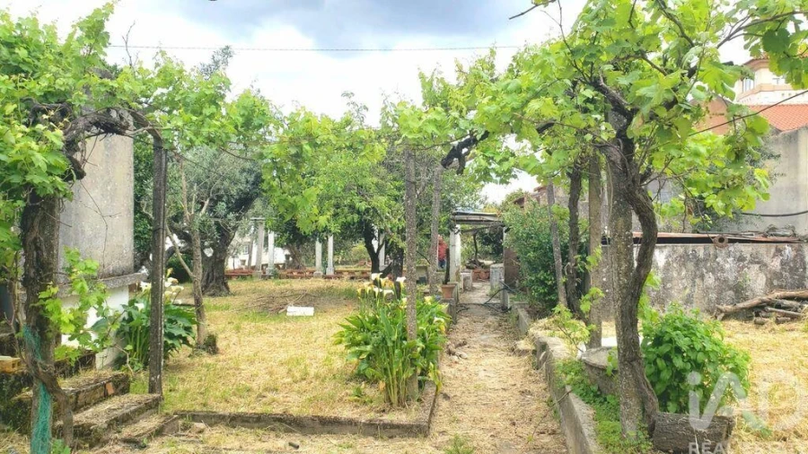 Terreno para Venda em Cardigos Foto 6