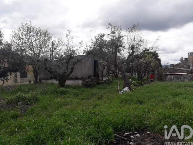Terreno para Venda em Cardigos Foto 18
