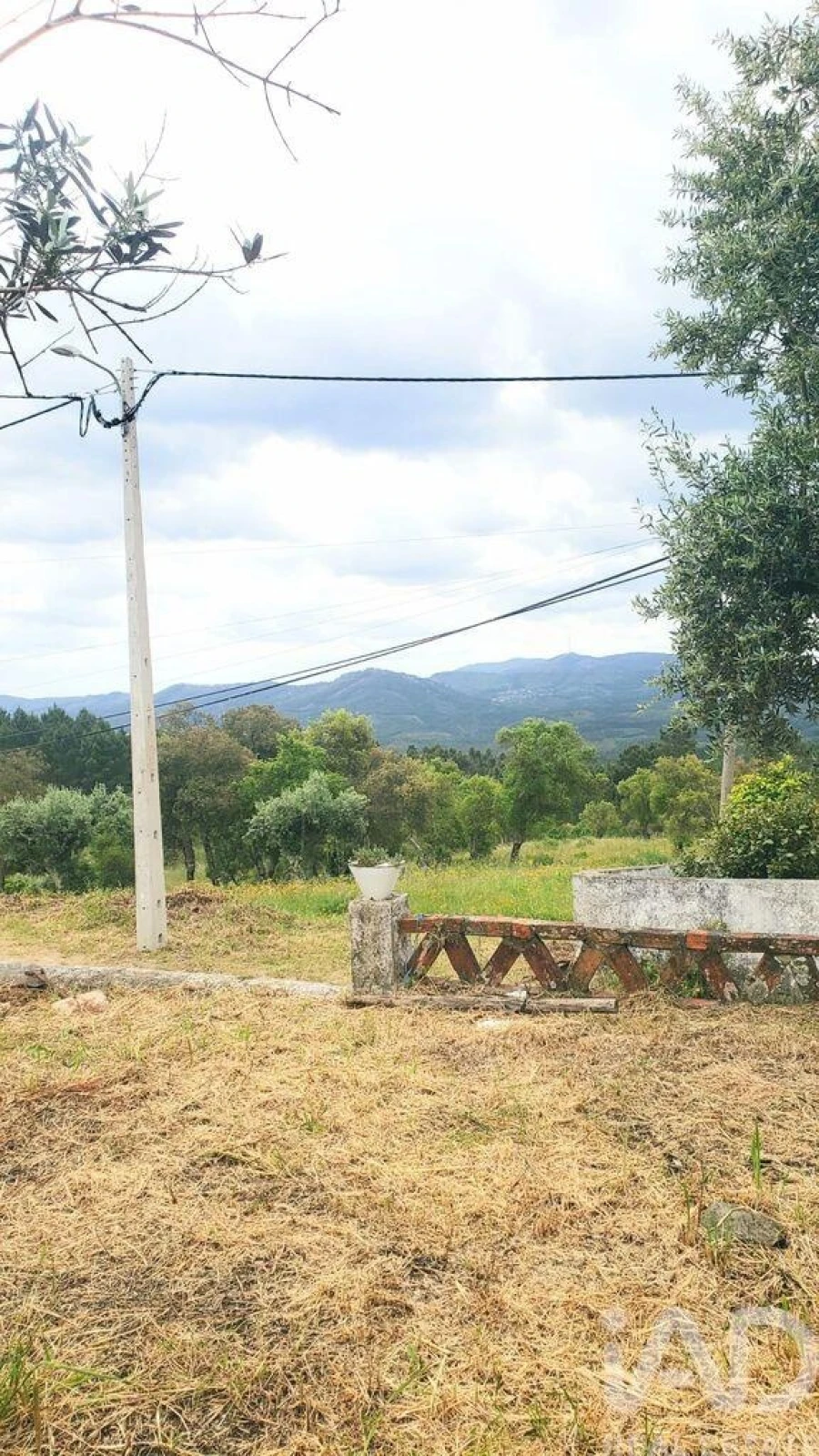 Terreno para Venda em Cardigos Foto 16