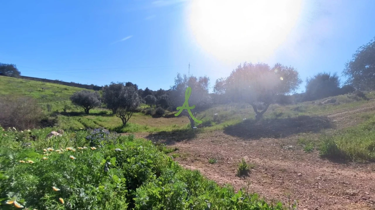 Quinta T2 para Venda em Estômbar e Parchal Foto 3