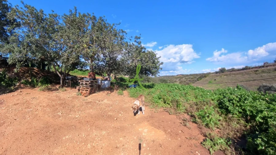 Quinta T2 para Venda em Estômbar e Parchal Foto 7