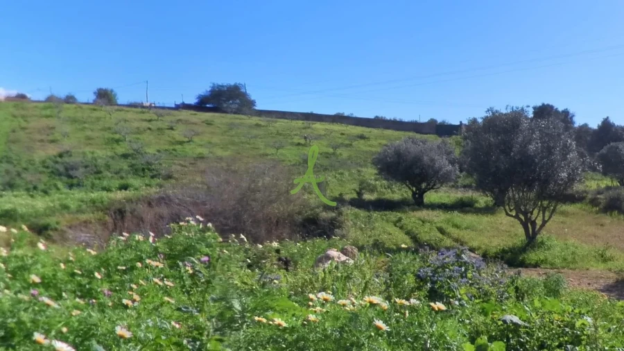 Quinta T2 para Venda em Estômbar e Parchal Foto 12