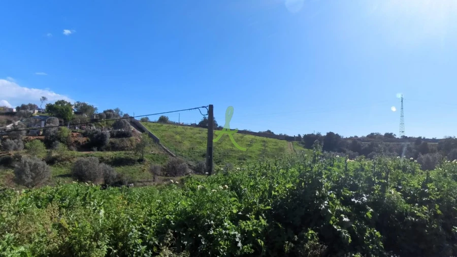 Quinta T2 para Venda em Estômbar e Parchal Foto 4