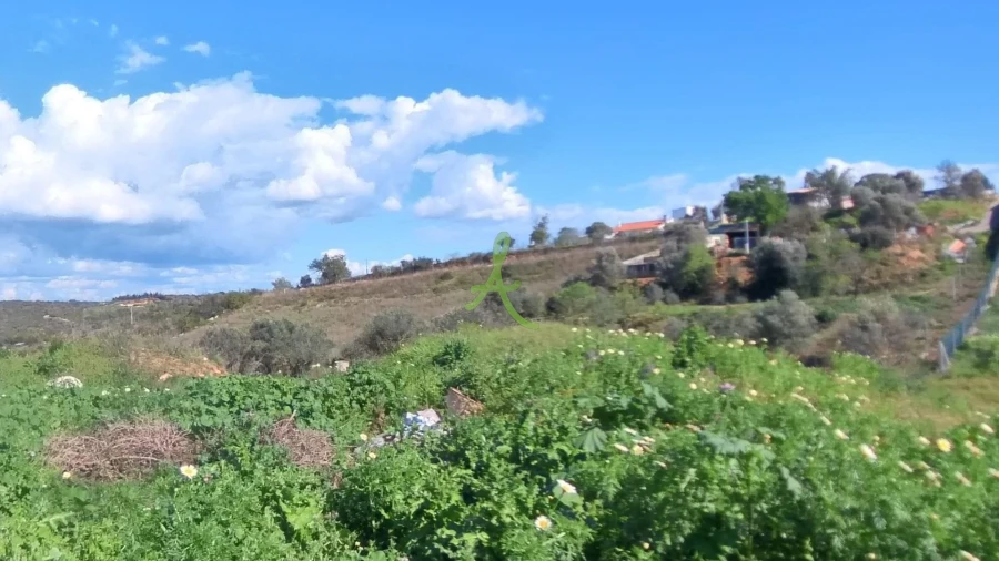 Quinta T2 para Venda em Estômbar e Parchal Foto 6