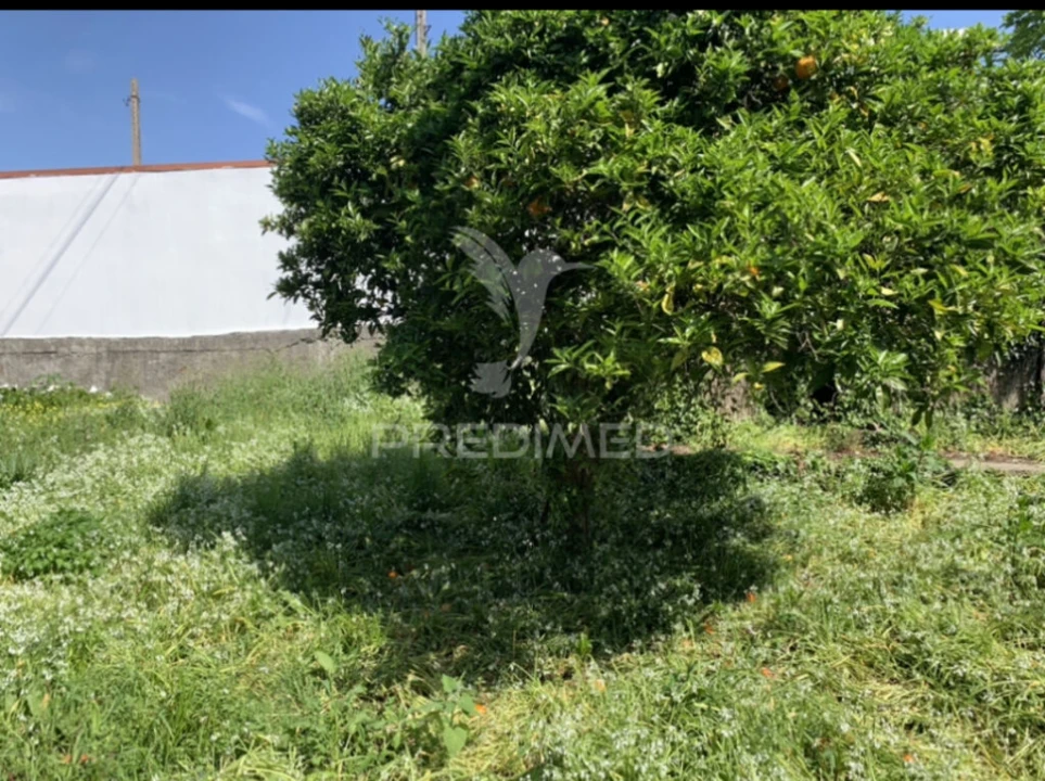 Moradia T3 para Venda em Vila Nova de Famalicão e Calendário Foto 11