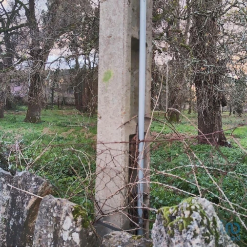Terreno para Venda em Monção e Troviscoso Foto 4