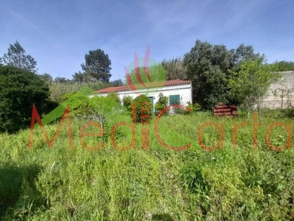 Terreno para Venda em Cartaxo e Vale da Pinta Foto 12