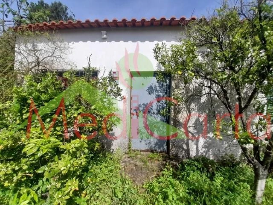 Terreno para Venda em Cartaxo e Vale da Pinta Foto 3