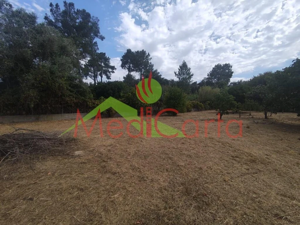Terreno para Venda em Cartaxo e Vale da Pinta Foto 7