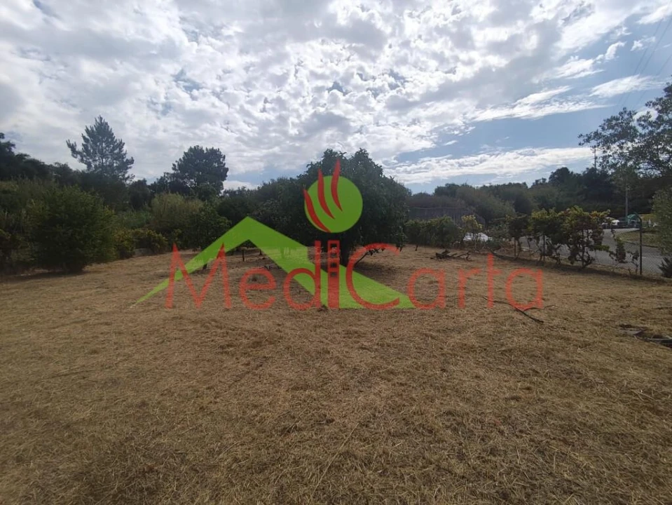 Terreno para Venda em Cartaxo e Vale da Pinta Foto 8