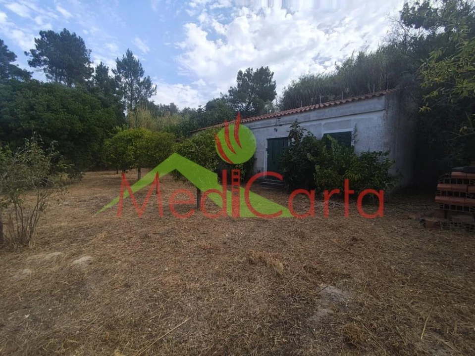 Terreno para Venda em Cartaxo e Vale da Pinta Foto 1