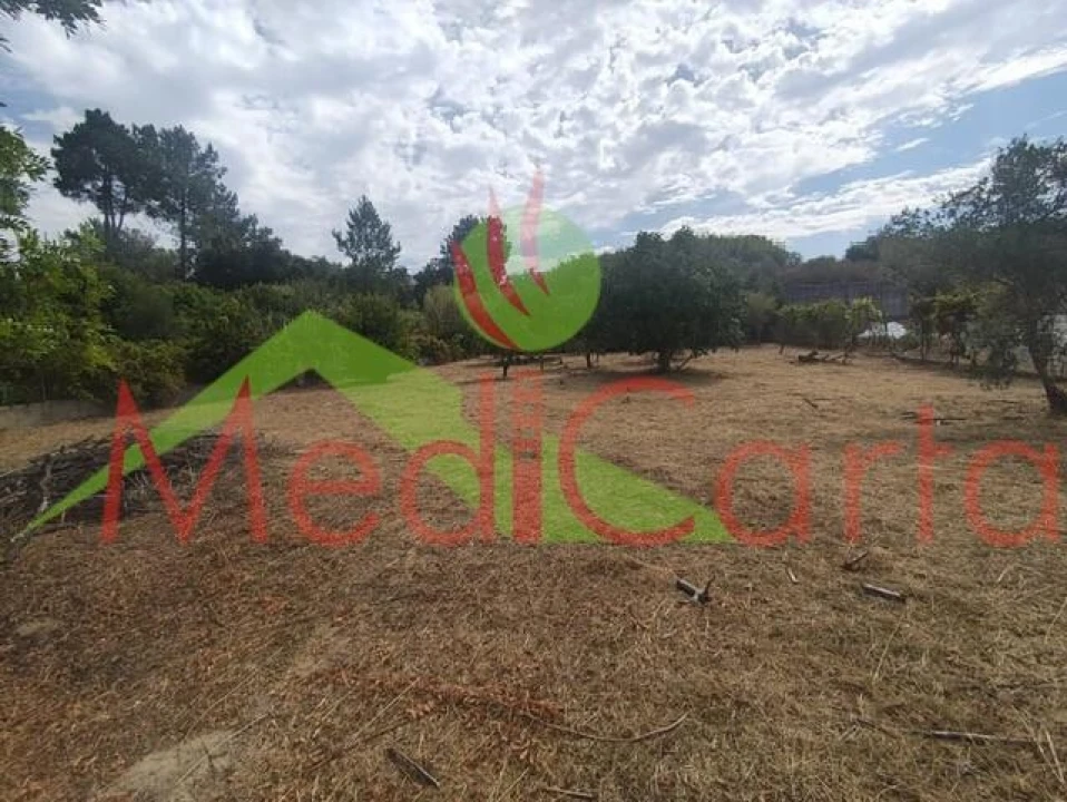 Terreno para Venda em Cartaxo e Vale da Pinta Foto 9