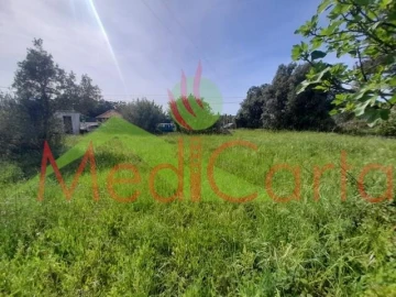 Terreno para Venda em Cartaxo e Vale da Pinta