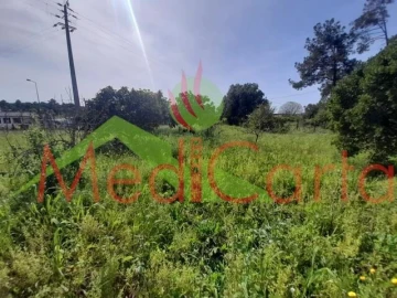 Terreno para Venda em Cartaxo e Vale da Pinta
