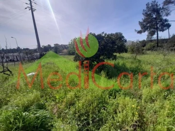 Terreno para Venda em Cartaxo e Vale da Pinta