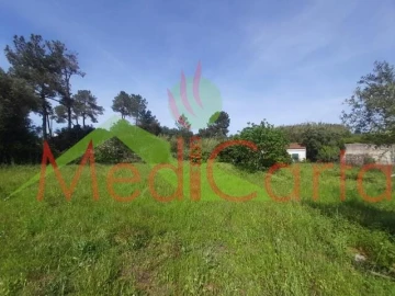 Terreno para Venda em Cartaxo e Vale da Pinta