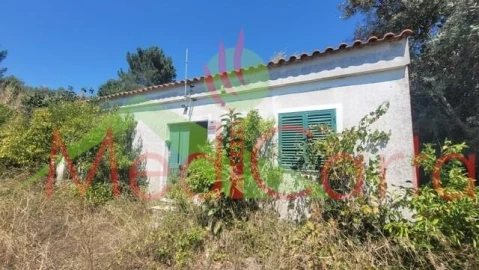 Terreno para Venda em Cartaxo e Vale da Pinta