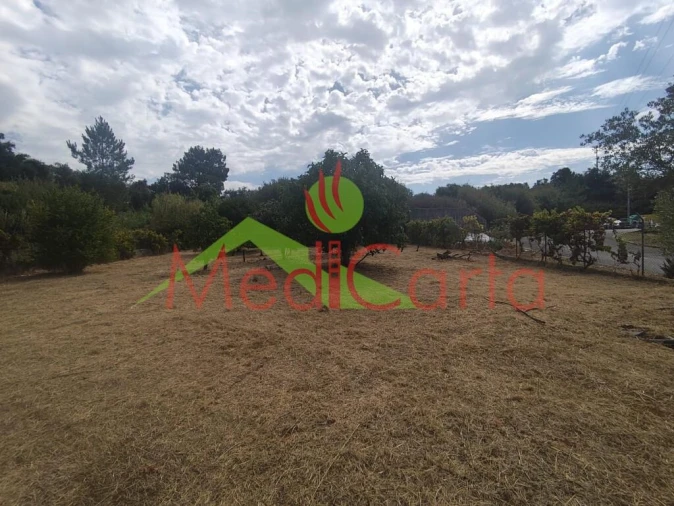 Terreno para Venda em Cartaxo e Vale da Pinta Foto 8