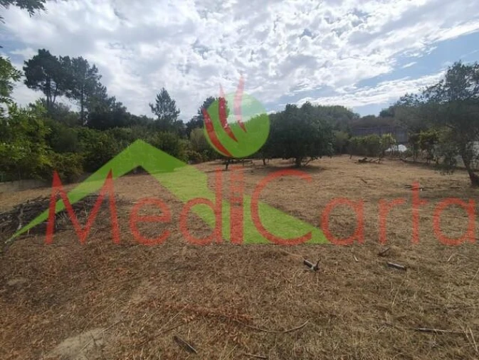 Terreno para Venda em Cartaxo e Vale da Pinta Foto 9
