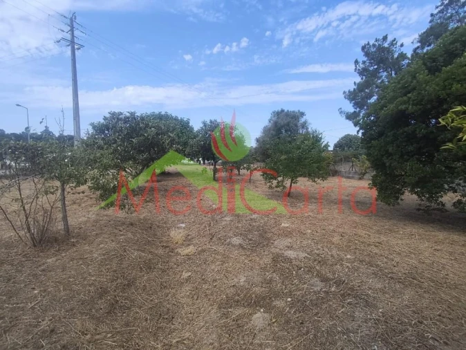 Terreno para Venda em Cartaxo e Vale da Pinta Foto 2