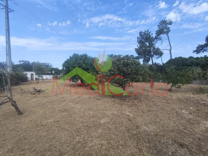 Terreno para Venda em Cartaxo e Vale da Pinta Foto 4