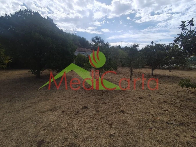 Terreno para Venda em Cartaxo e Vale da Pinta Foto 5