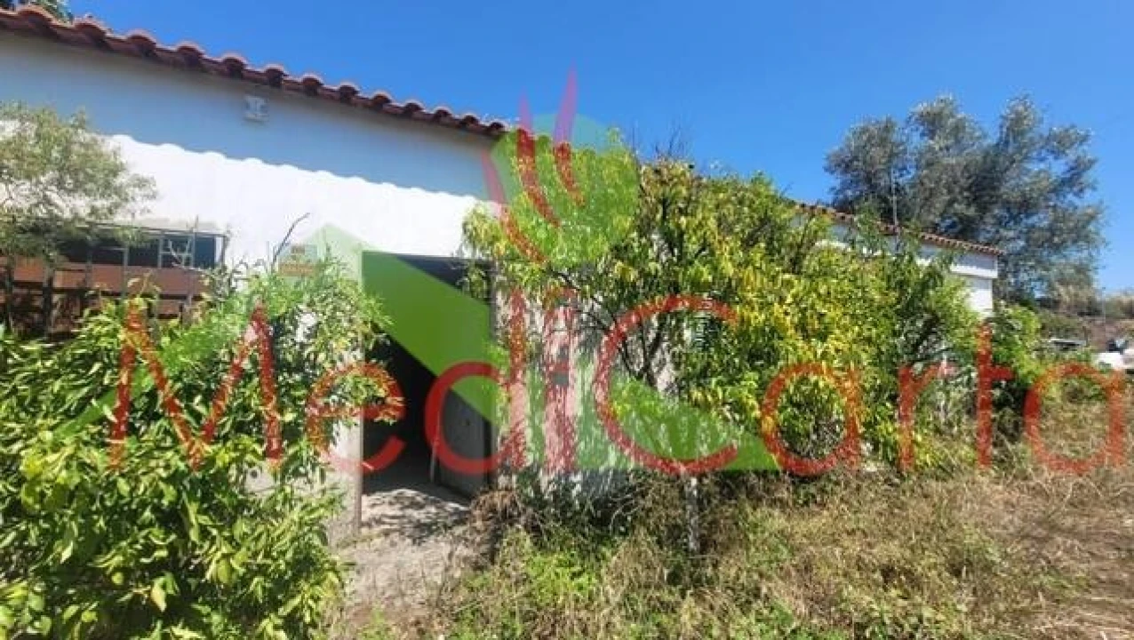 Terreno para Venda em Cartaxo e Vale da Pinta Foto 2