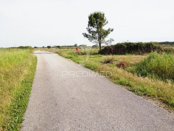 Terreno para Venda em Alpiarça