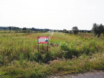 Terreno para Venda em Alpiarça