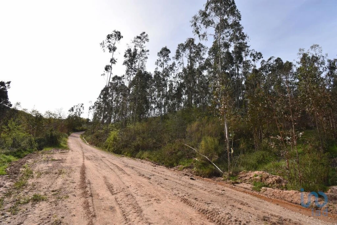 Terreno para Venda em Podentes Foto 12