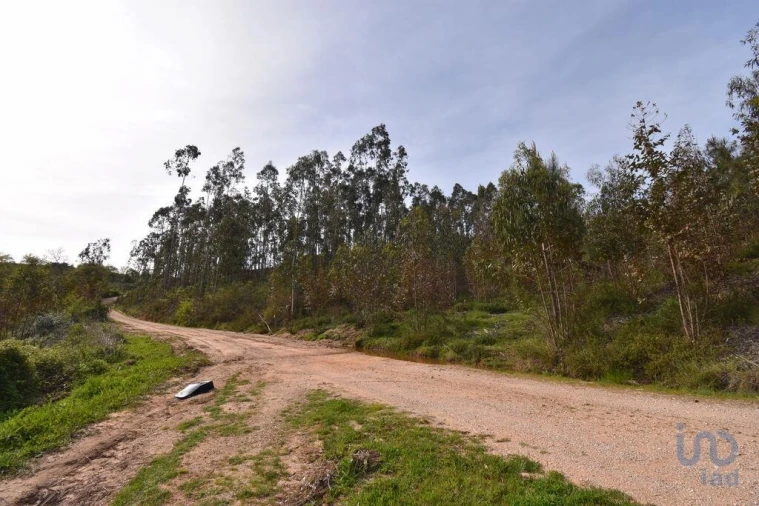 Terreno para Venda em Podentes Foto 10