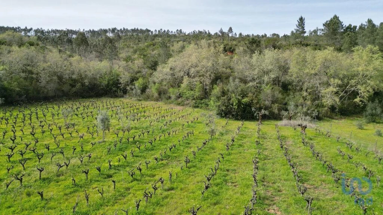 Terreno para Venda em Podentes Foto 13