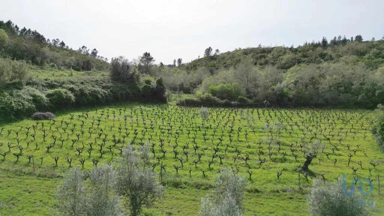 Terreno para Venda em Podentes Foto 11