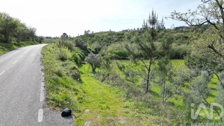 Terreno para Venda em Podentes Foto 18