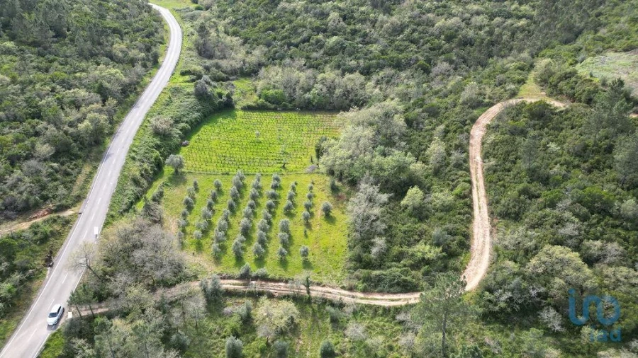 Terreno para Venda em Podentes Foto 4