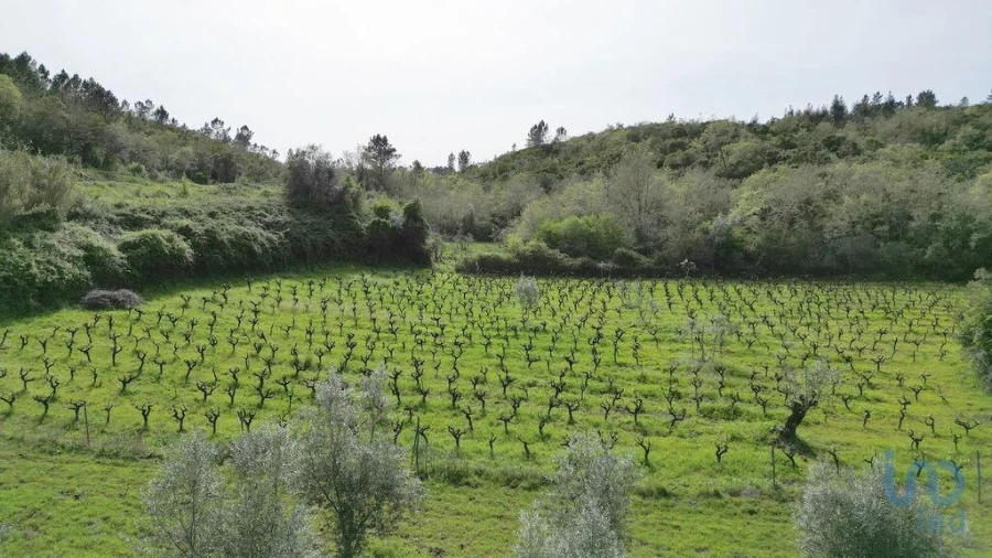 Terreno para Venda em Podentes Foto 11