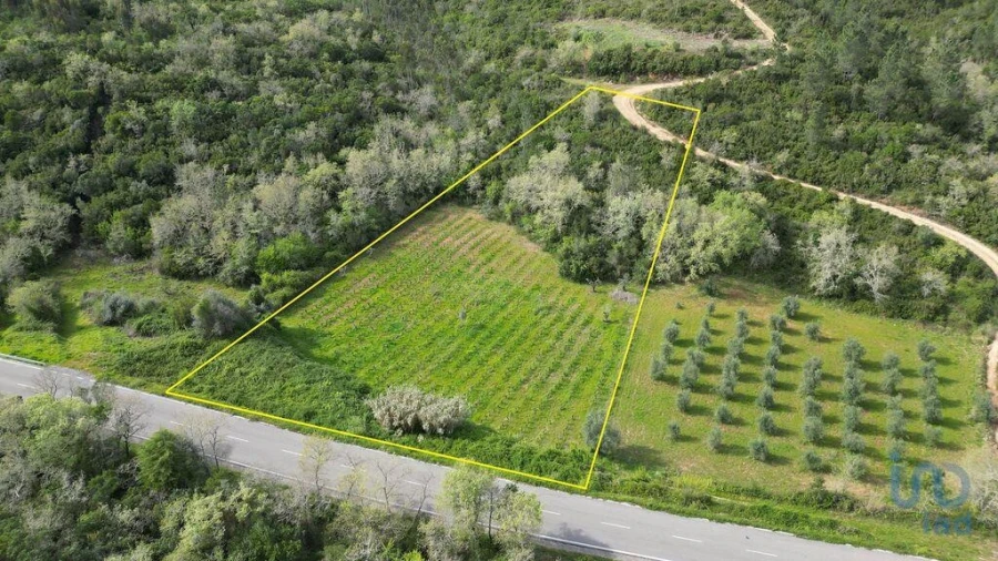 Terreno para Venda em Podentes