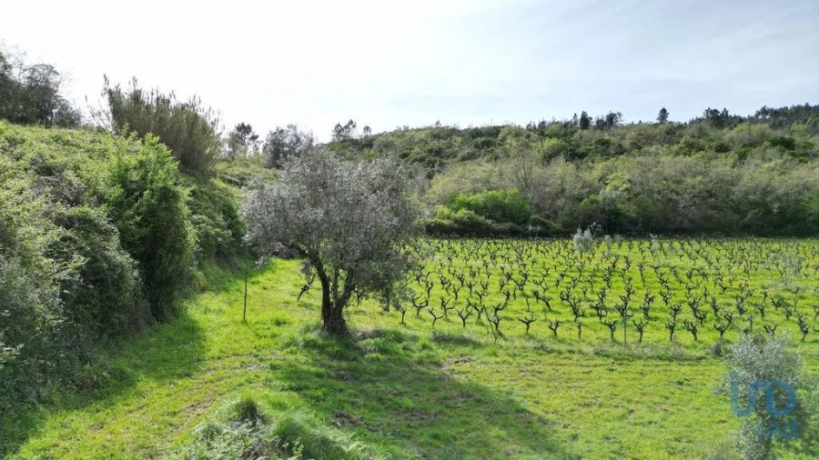 Terreno para Venda em Podentes Foto 12