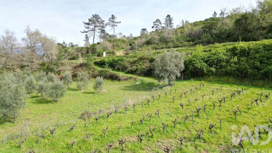 Terreno para Venda em Podentes Foto 16