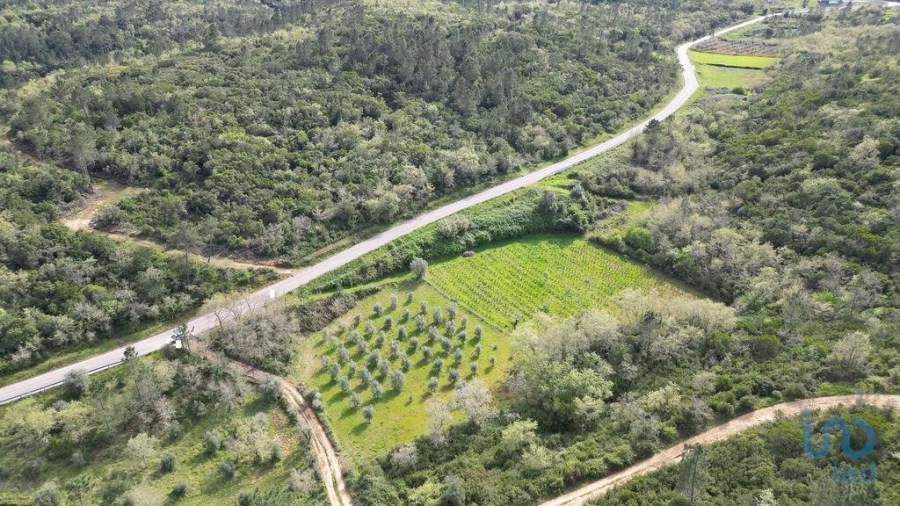 Terreno para Venda em Podentes Foto 6